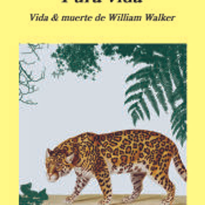 Pura vida 1
