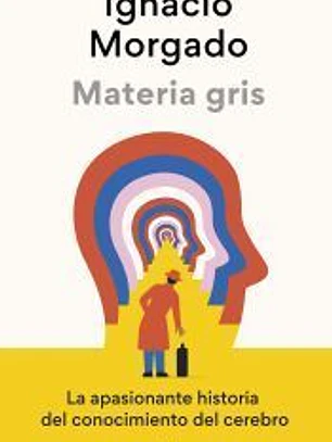 Materia gris