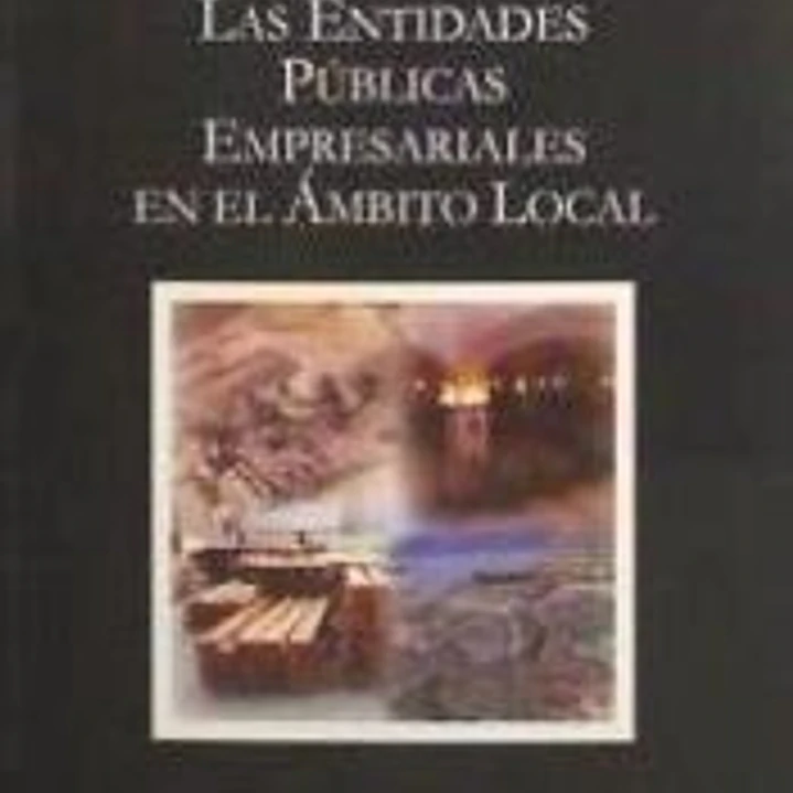 LAS ENTIDADES PÚBLICAS EMPRESARIALES EN EL ÁMBITO LOCAL 1