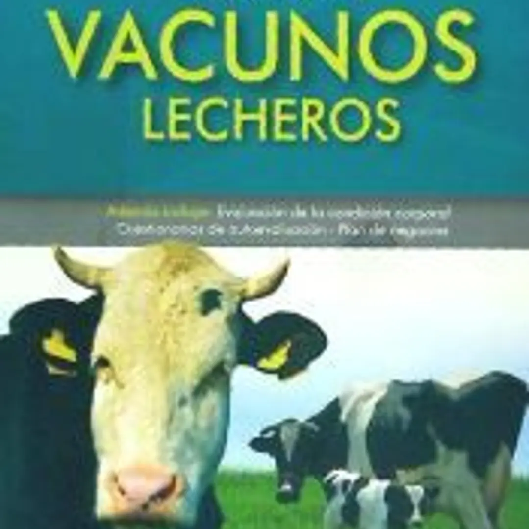 Manejo de vacunos lecheros 1