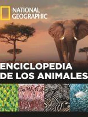 Enciclopedia de los animales