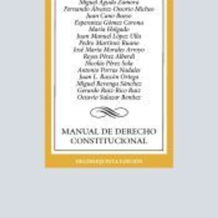 Manual de Derecho Constitucional 1