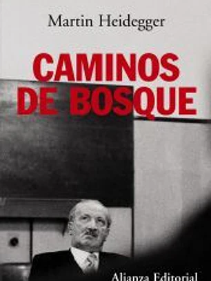 Caminos de bosque