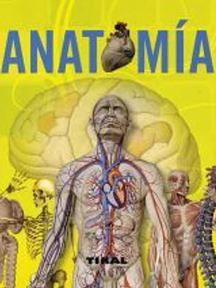 Enciclopedia Universal. Anatomía