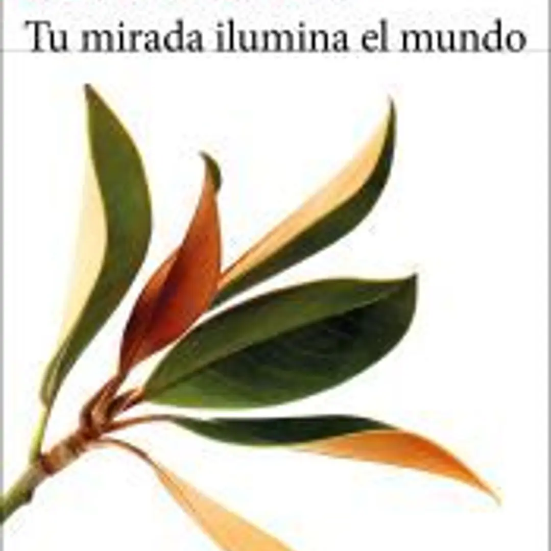 Tu mirada ilumina el mundo 1
