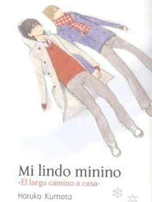 Mi lindo minino: El largo camino a casa