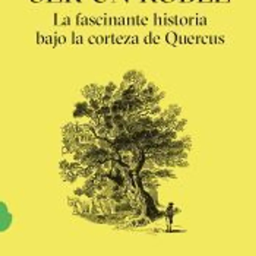 Ser un roble La fascinante historia bajo la corteza de Quercus 1
