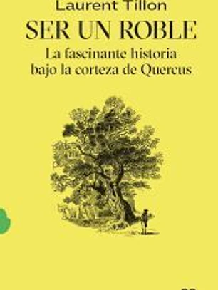 Ser un roble La fascinante historia bajo la corteza de Quercus