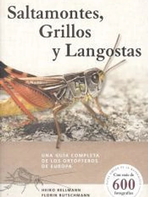 Saltamontes, grilllos y langosta: Una guía completa de los ortópteros de Europa