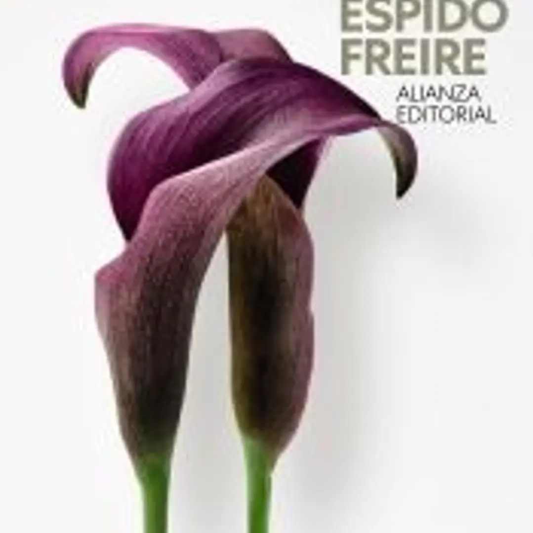 Dos tardes con Jane Austen 1