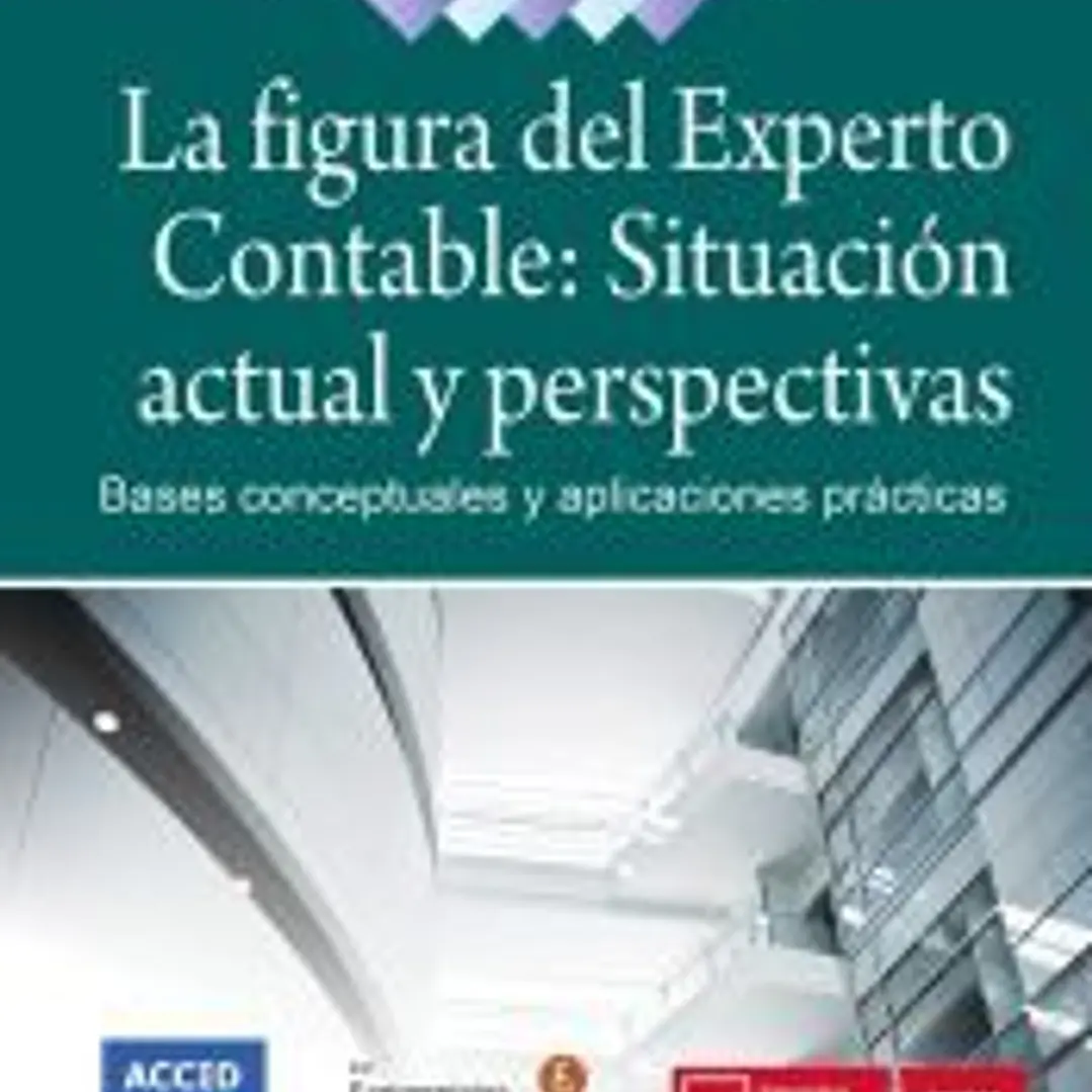 La figura del experto contable: situación actual y perspectivas 1