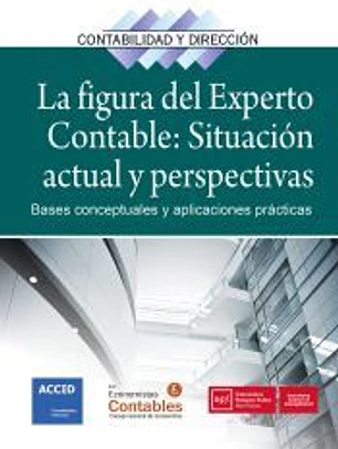 La figura del experto contable: situación actual y perspectivas