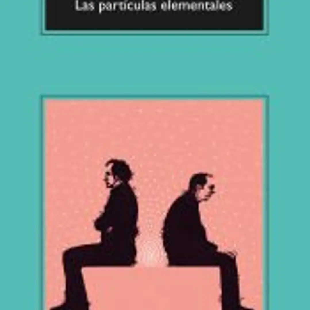 Las partículas elementales 1