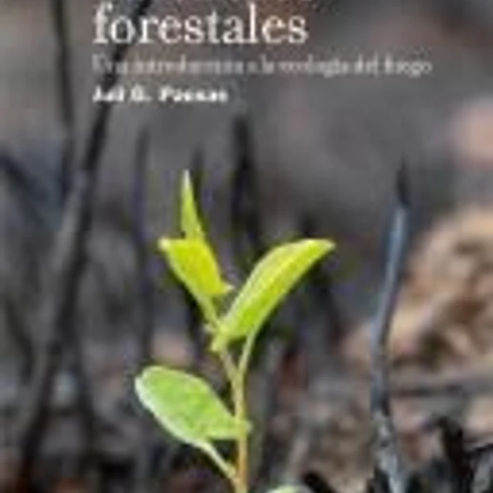 Incendios forestales 1