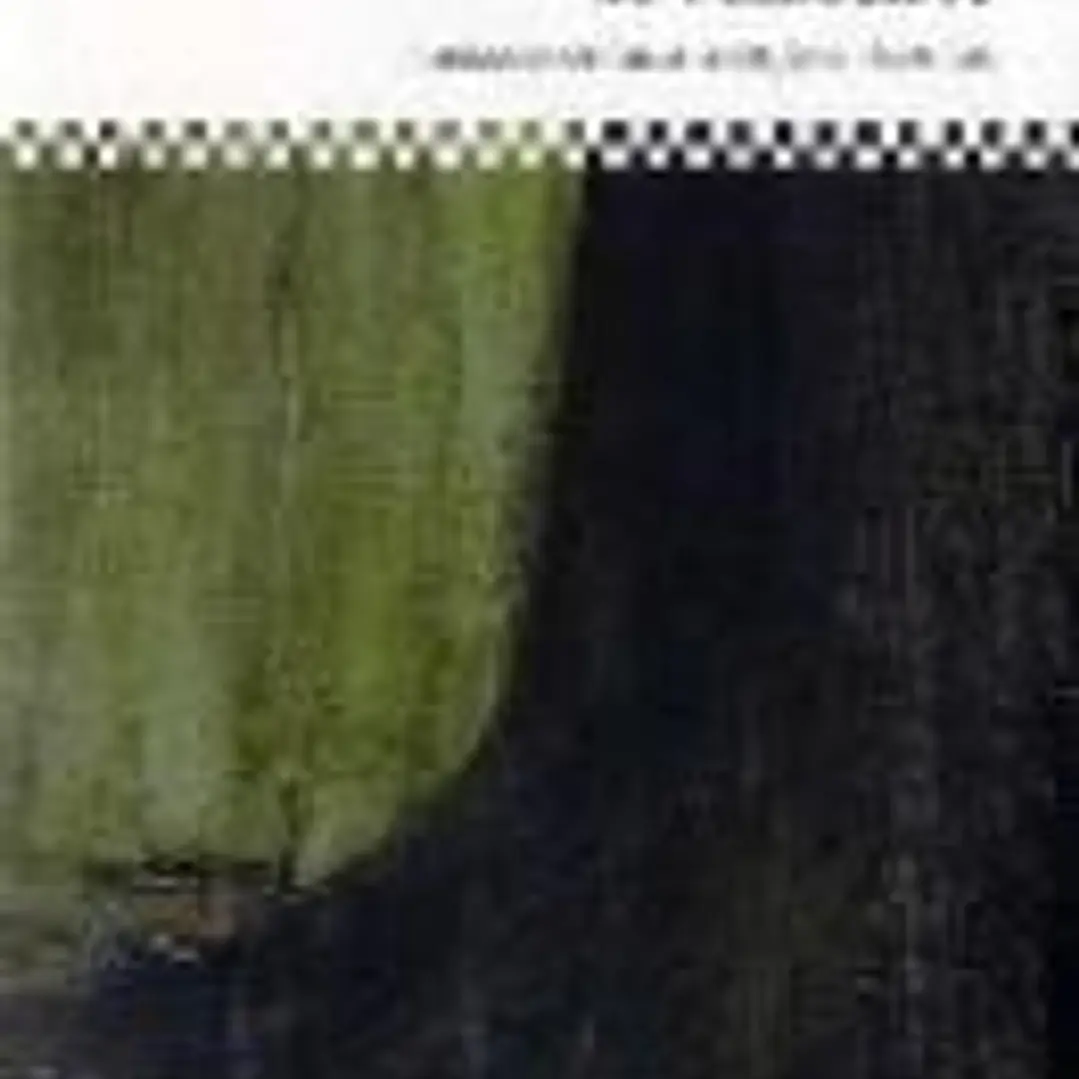 HISTORIA UNIVERSAL DE PANICEIROS 1