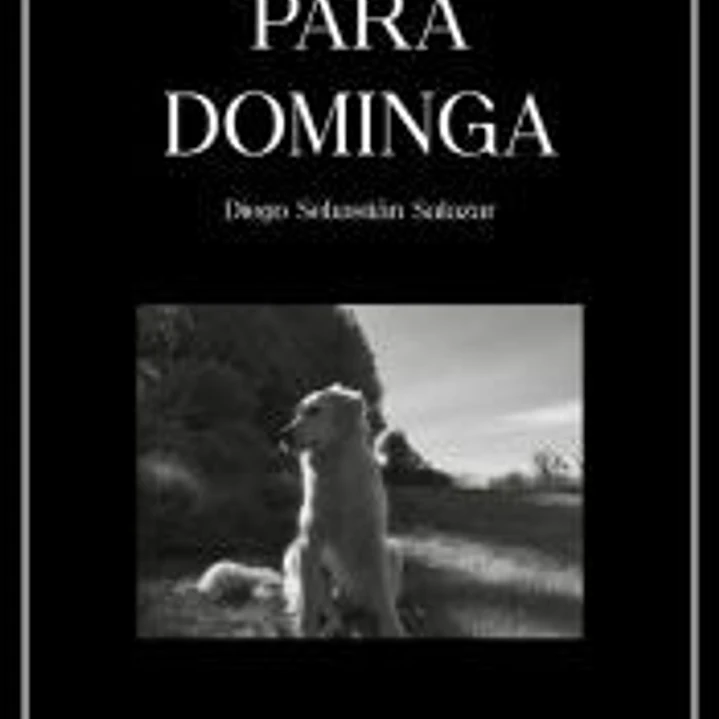 PARA DOMINGA 1