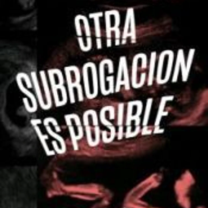 Otra subrogación es posible: el feminismo contra la familia 1