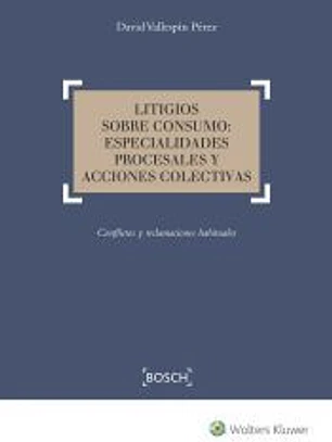 Litigios sobre consumo: especialidades procesales y acciones colectivas