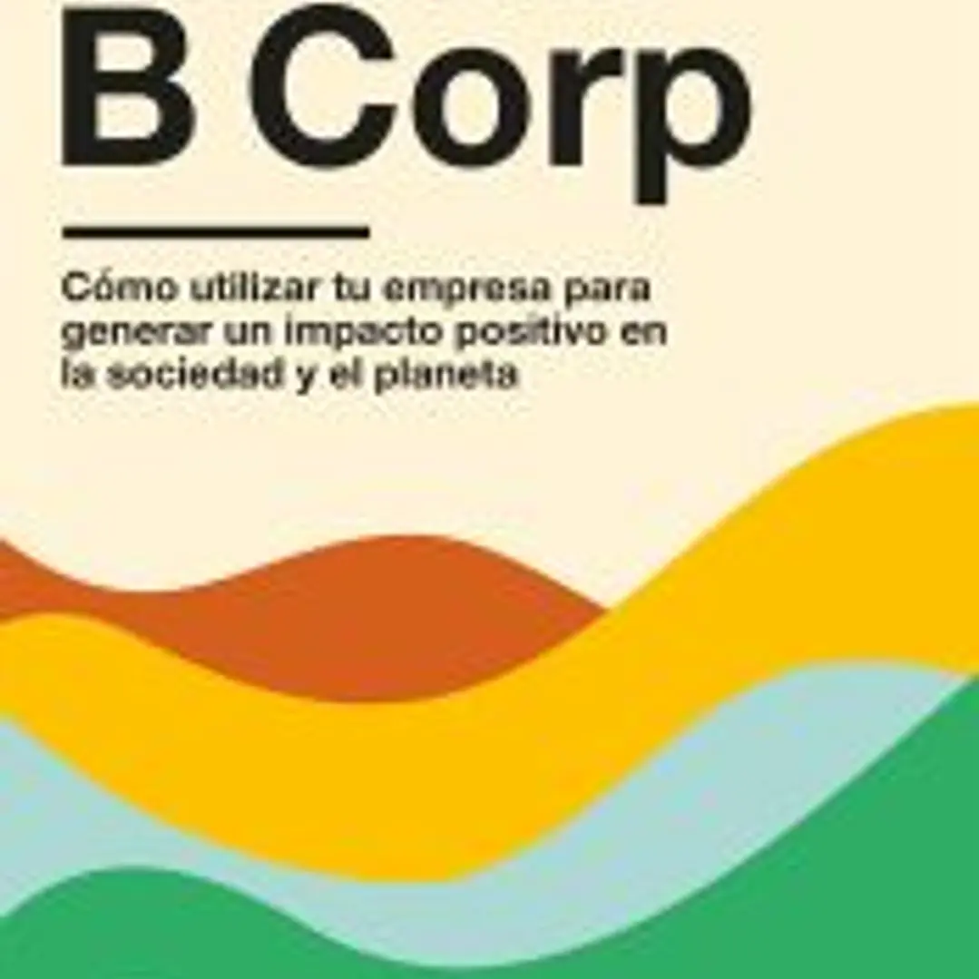 Movimiento B Corp 1