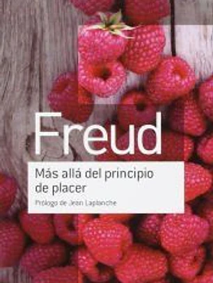 MÁS ALLÁ DEL PRINCIPIO DE PLACER