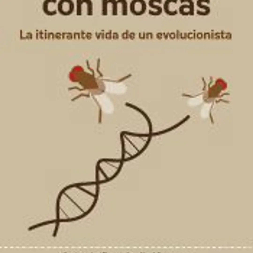 Bailando con moscas 1