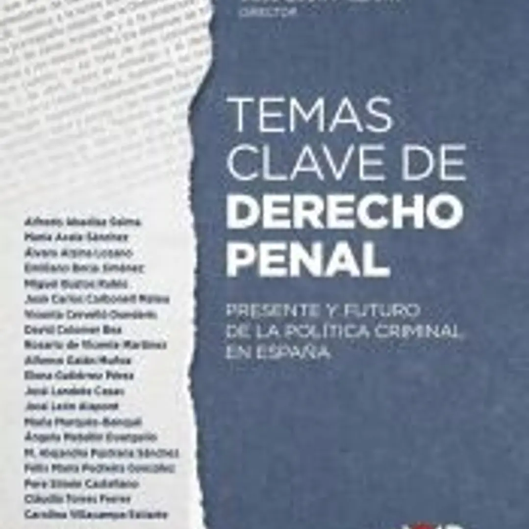 Temas clave de Derecho penal 1