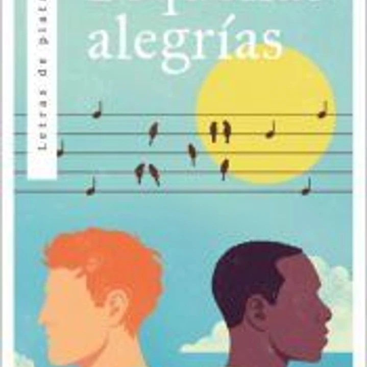 Pequeñas alegrías 1