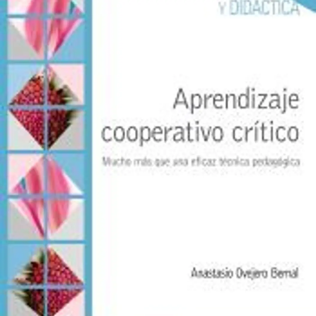 Aprendizaje cooperativo crítico : mucho más que una eficaz técnica pedagógica 1