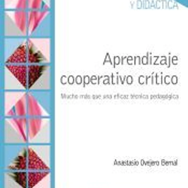 Aprendizaje cooperativo crítico : mucho más que una eficaz técnica pedagógica 1