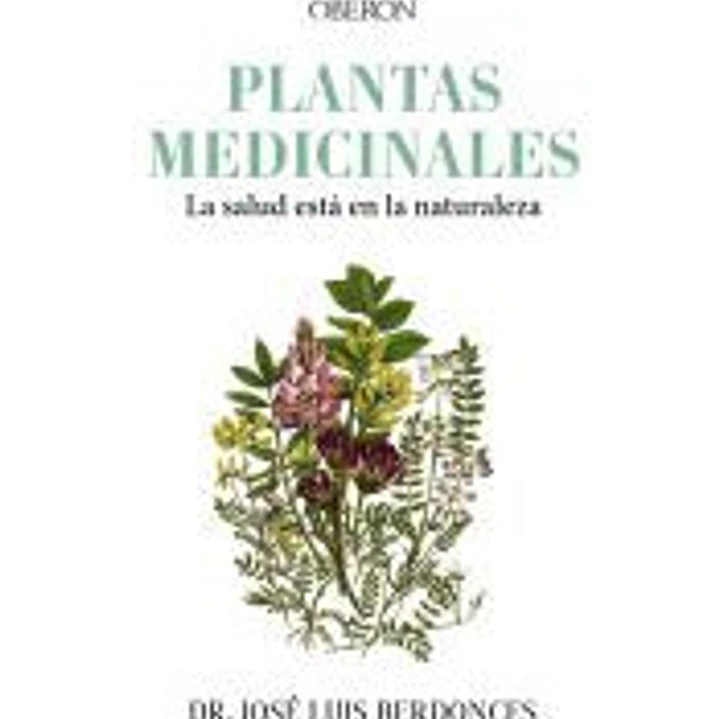 Plantas medicinales. La salud está en la naturaleza 1