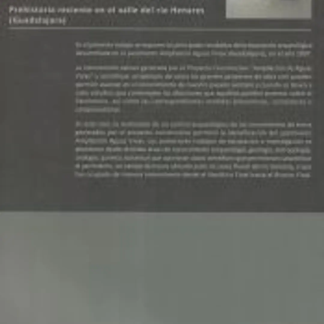 El yacimiento arqueológico de Aguas Vivas. Prehistoria reciente en el valle del río Henares (Guadalajara) 1