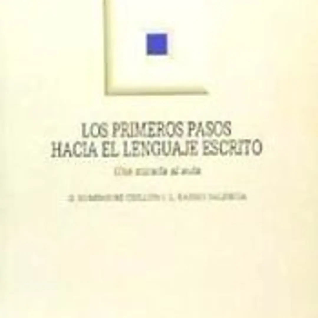 Los primeros pasos hacia el lenguaje escrito: una mirada al aula 1