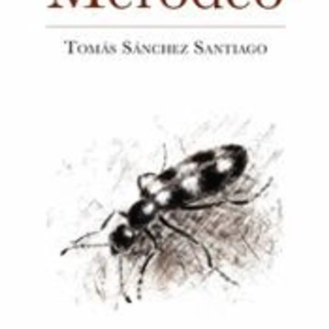 Merodeo 1