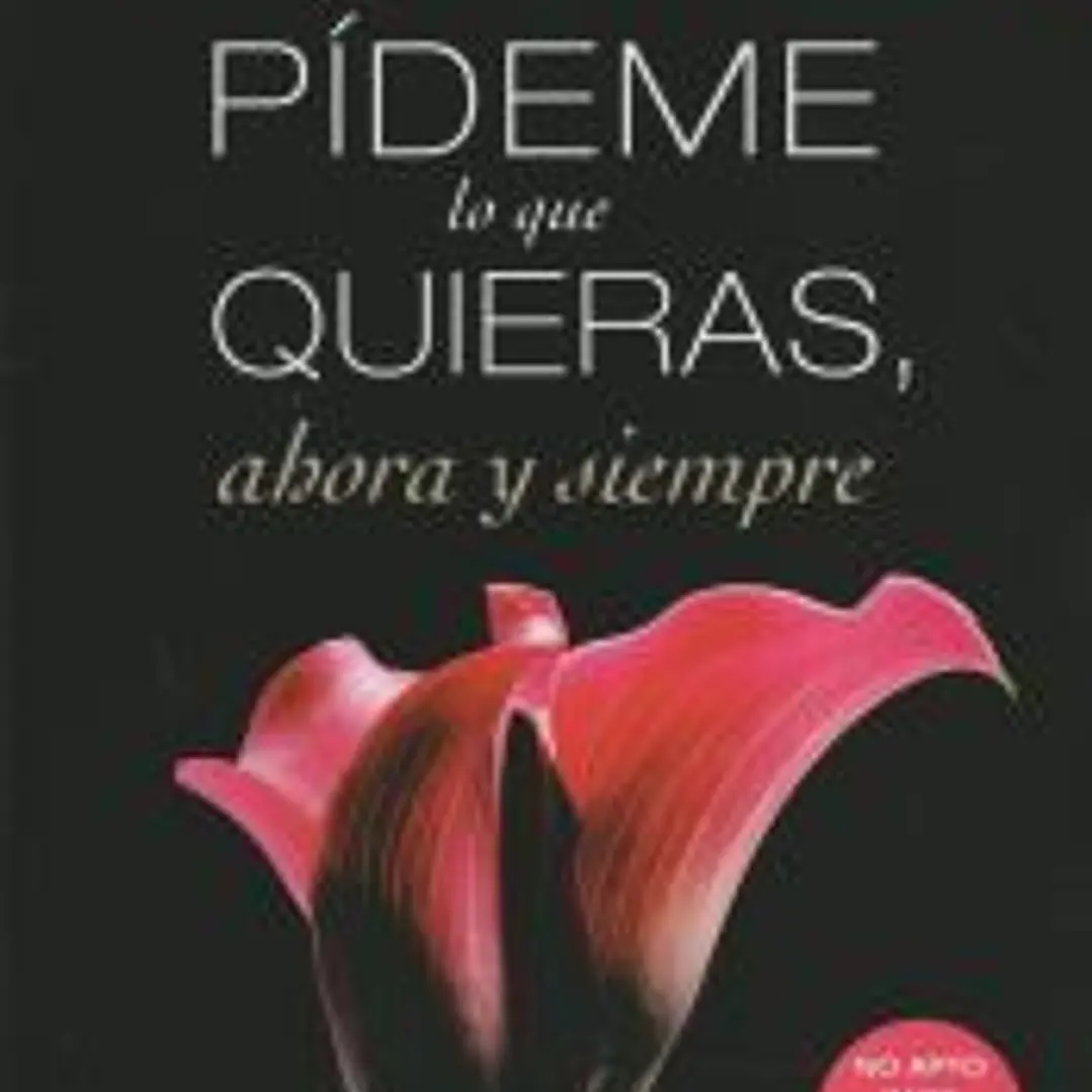 Pideme lo que quieras, ahora y siempre: SERIE PIDEME LO QUE QUIERAS 2 1
