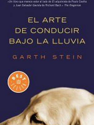 El arte de conducir bajo la lluvia