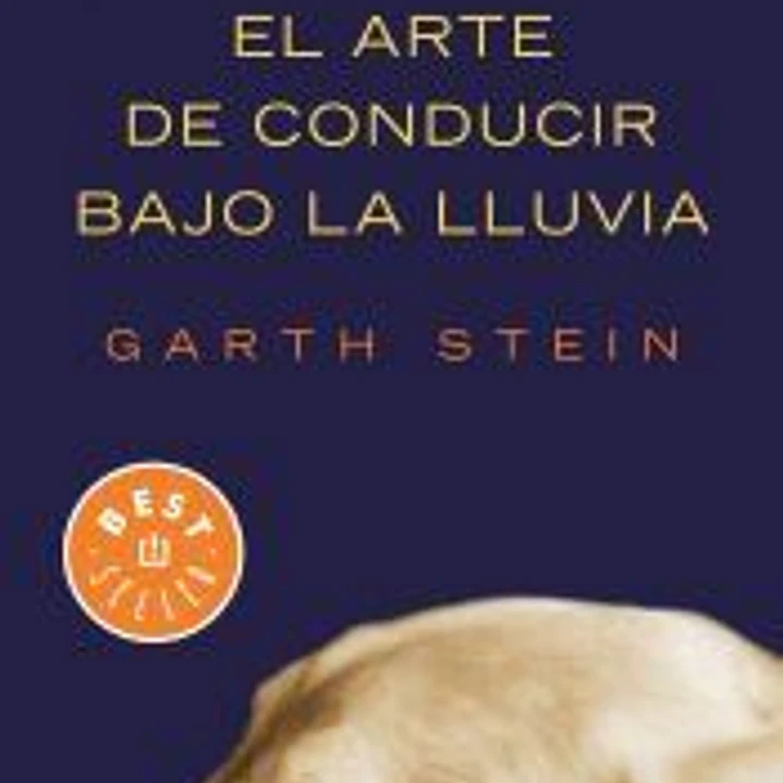 El arte de conducir bajo la lluvia 1