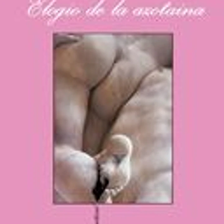 El elogio de la azotaina 1