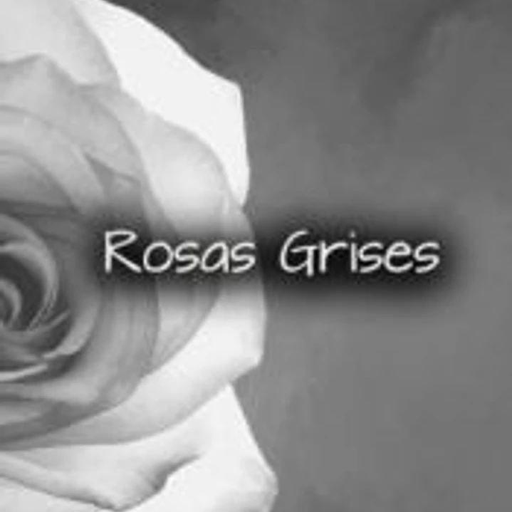 Rosas grises 1