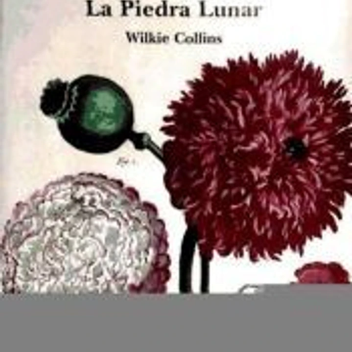 LA PIEDRA LUNAR 1