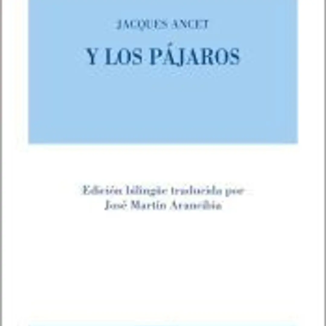 Y los pájaros 1