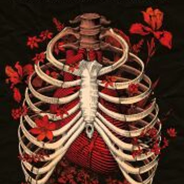 Desfibrilador 1