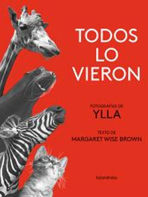 Todos lo vieron