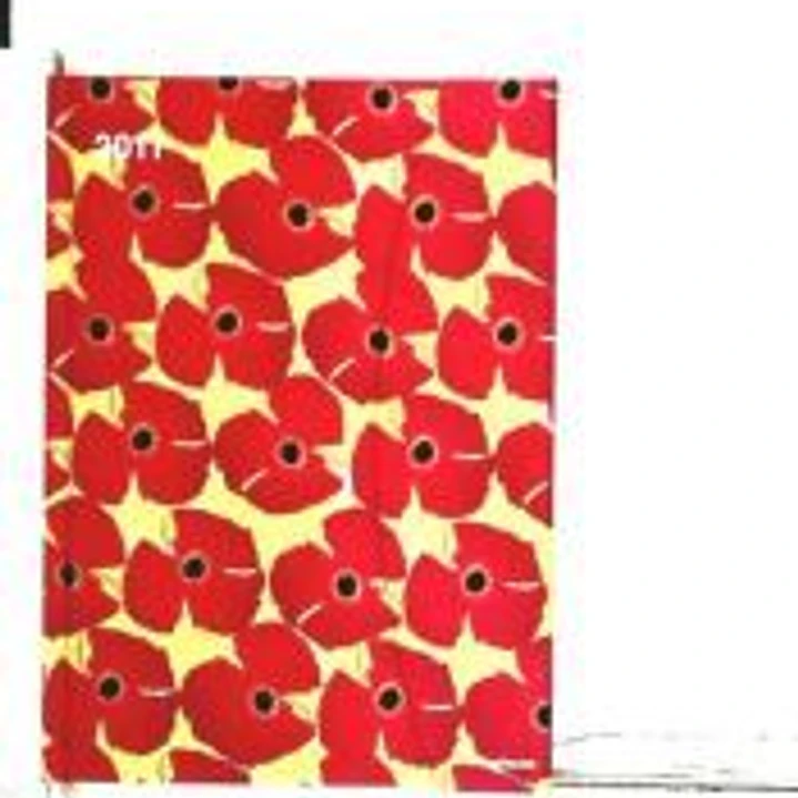 Susy Pilgrim Waters 2011. Diario 1