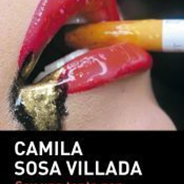 Soy una tonta por quererte 1