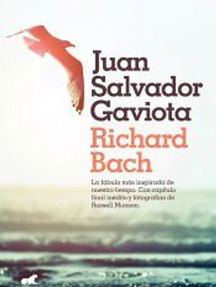 Juan Salvador Gaviota