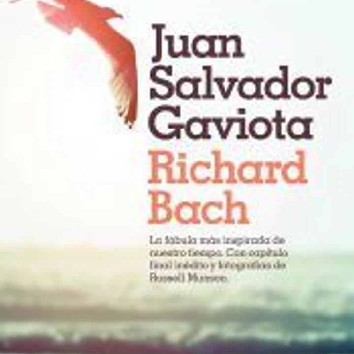 Juan Salvador Gaviota 1