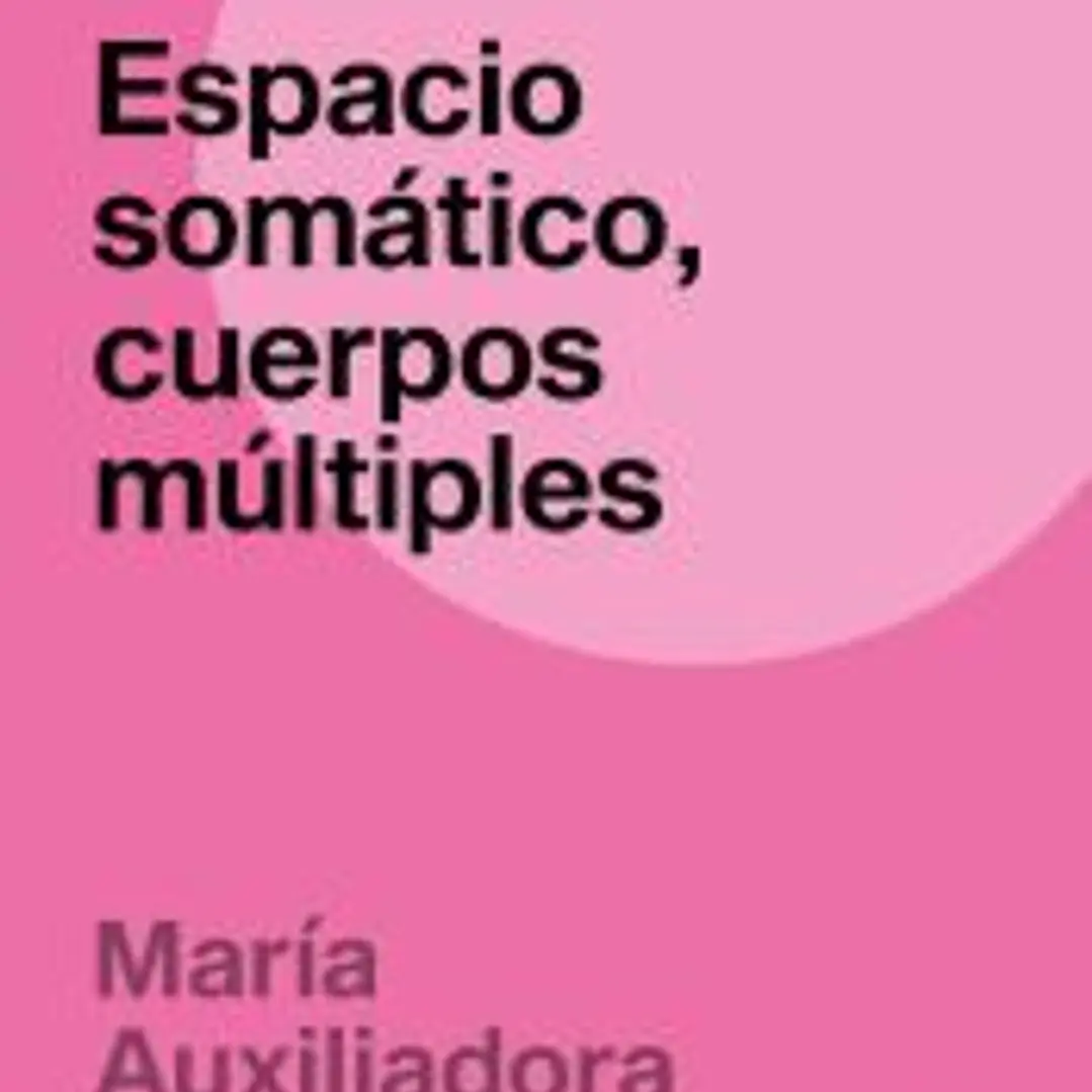 Espacio somático, cuerpos múltiples 1