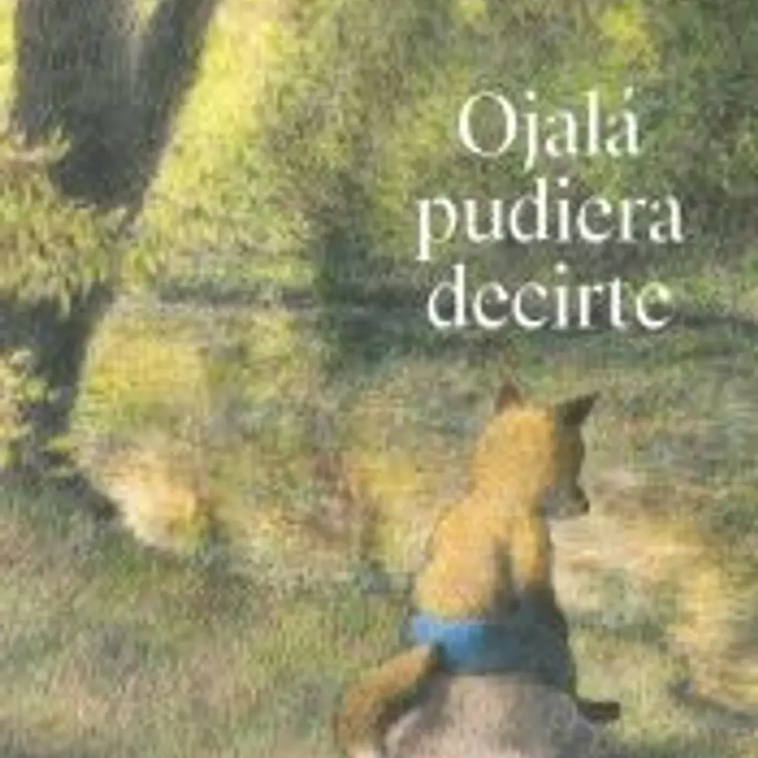 Ojalá pudiera decirte 1