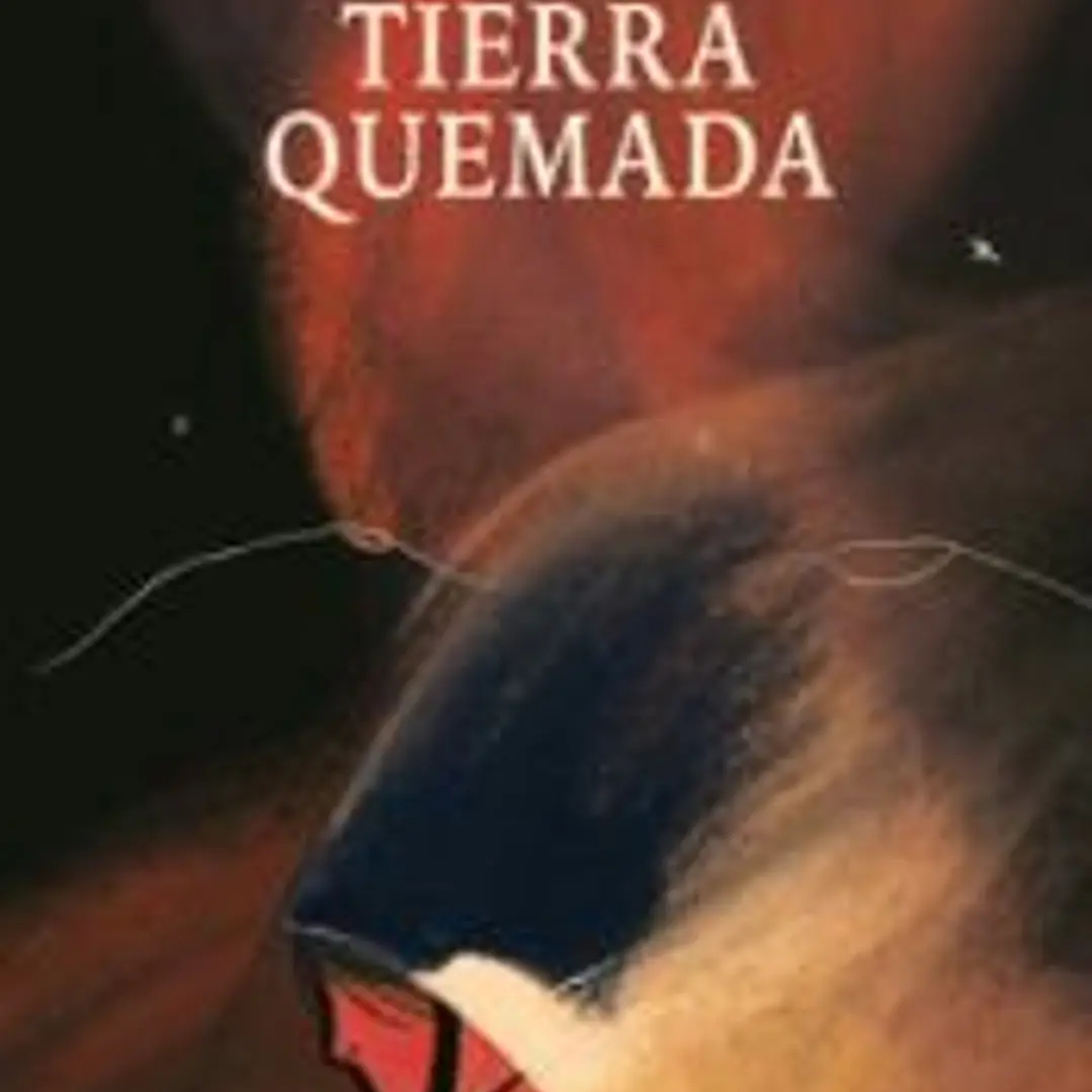 Tierra quemada 1