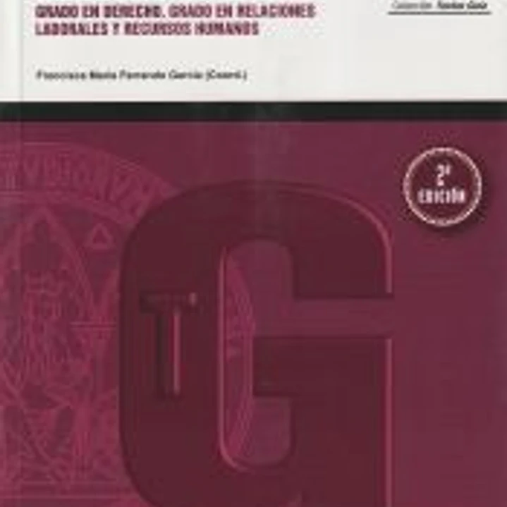 Lecciones de Derecho Sindical 2ª Edicion 1